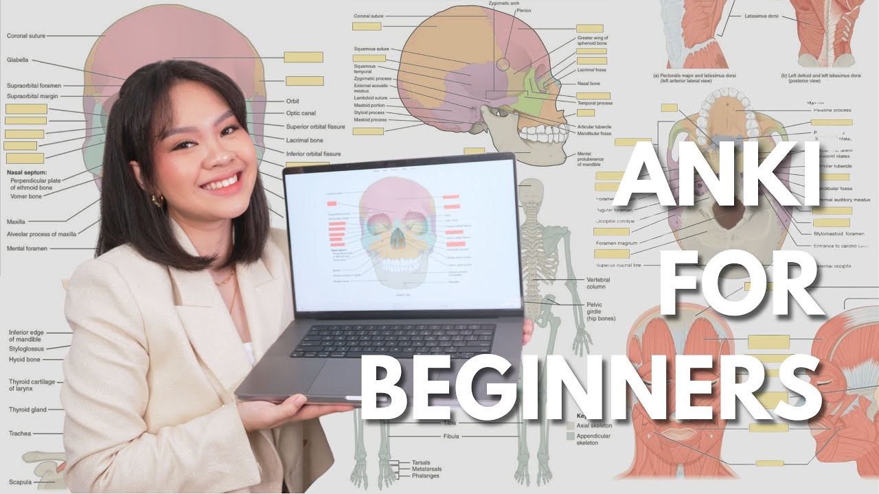 как эффективно учиться с anki 🧠 подробное руководство для начинающих