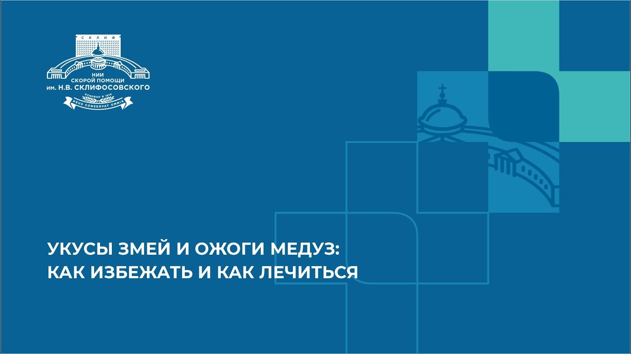 Укусы змей и ожоги медуз: как избежать и как лечиться