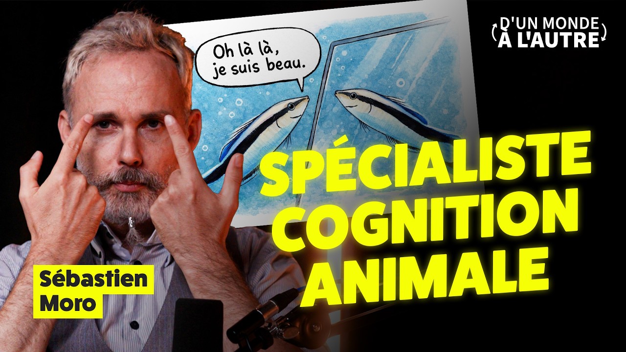 Ce petit poisson a fait trembler la science - Itw de Sébastien Moro (Vulgarisateur scientifique)