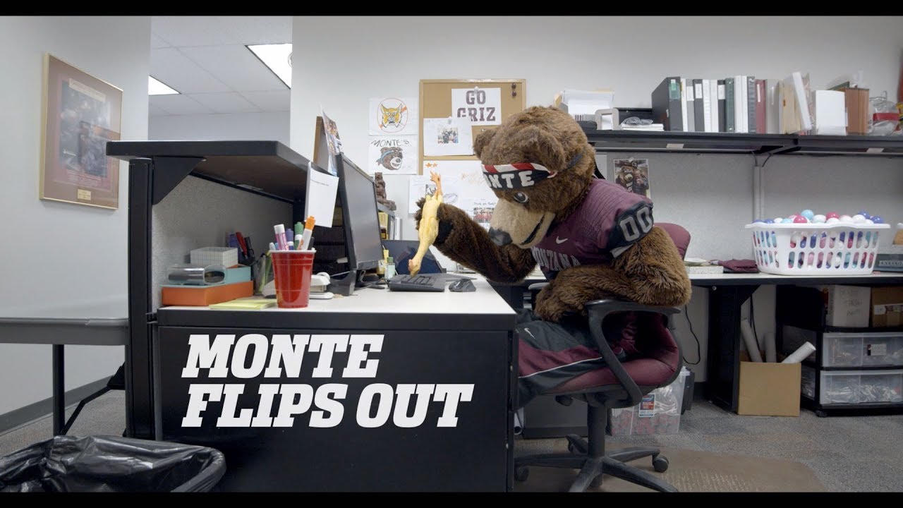 Monte Flips Out