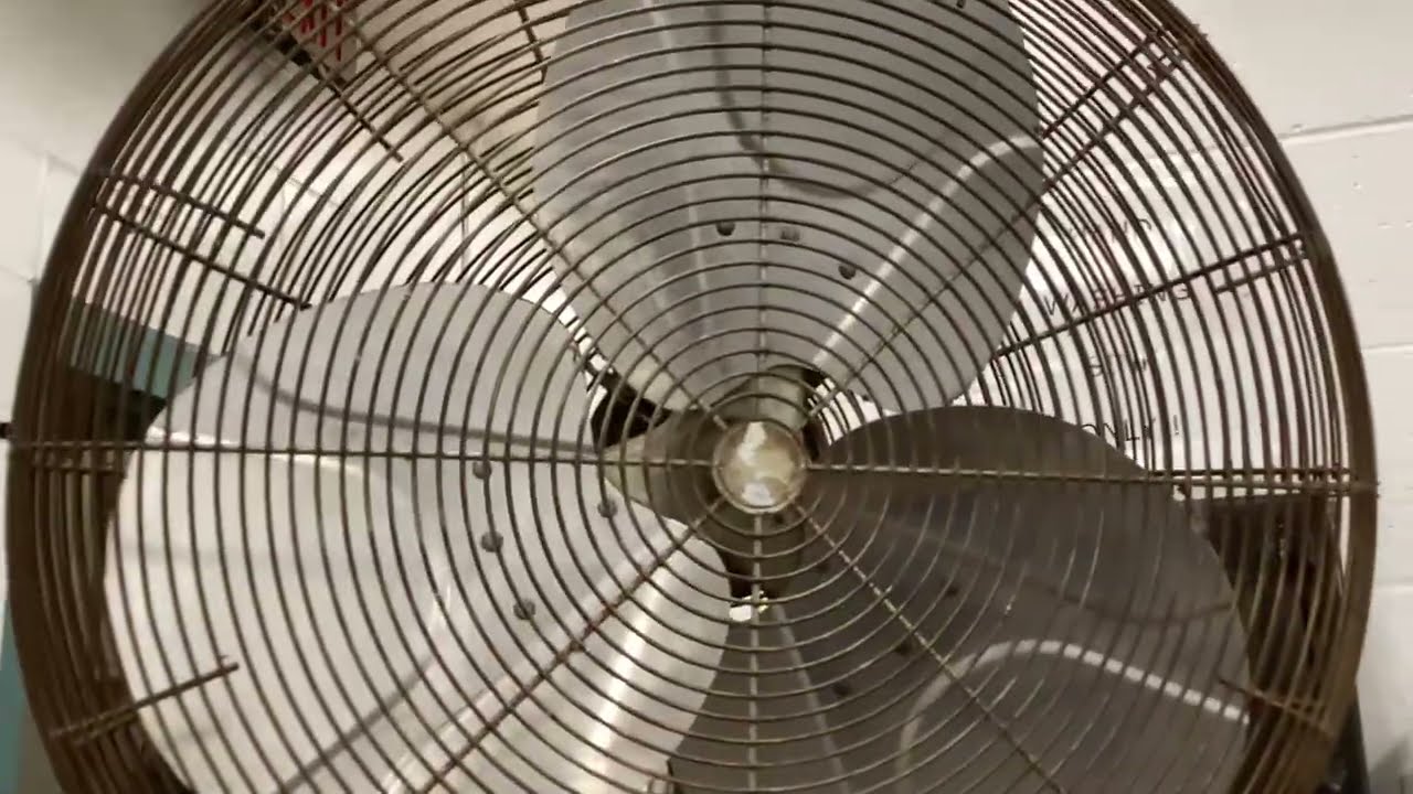 Dayton Industrial Grade Pedestal Fan Review