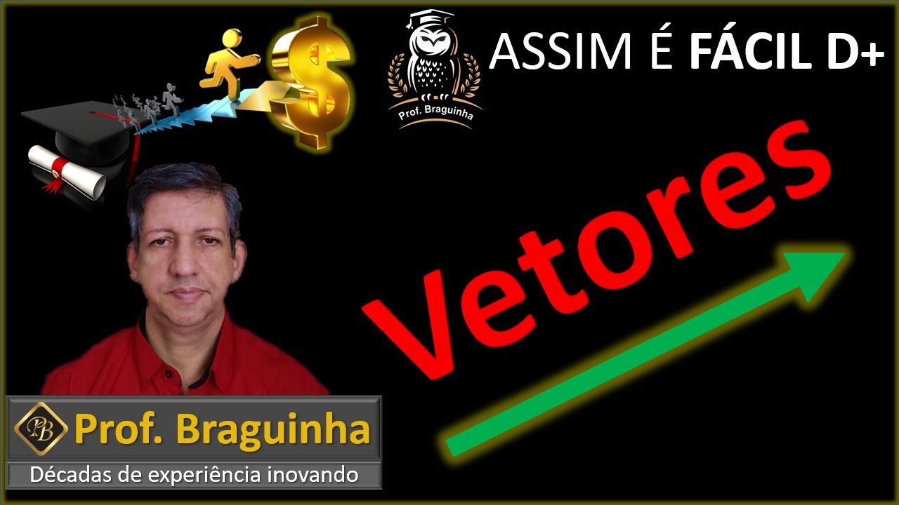 Vetores ( Prof. Braguinha )