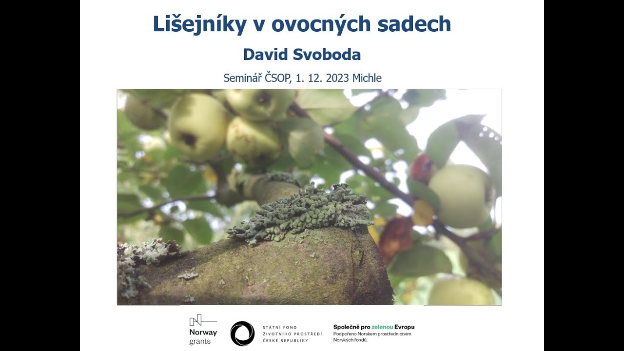 Lišejníky v ovocných sadech