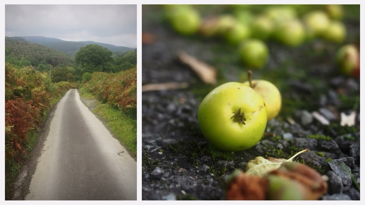 Lôn Las Cymru - A photographic guide