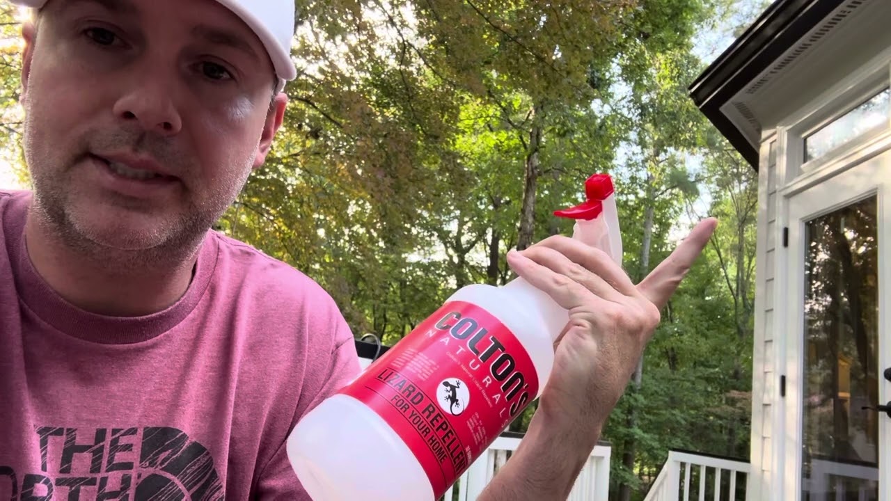 How to get rid of iguanas 🦎 forever - safely and easy