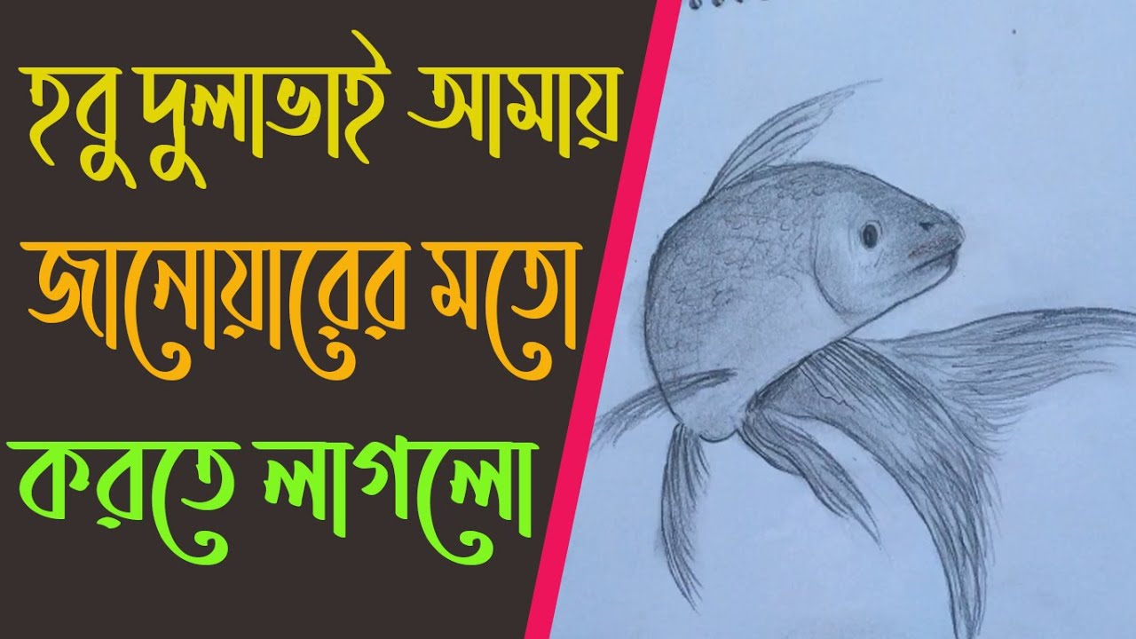 How to Draw a Fish easily at home | Aniqua Point