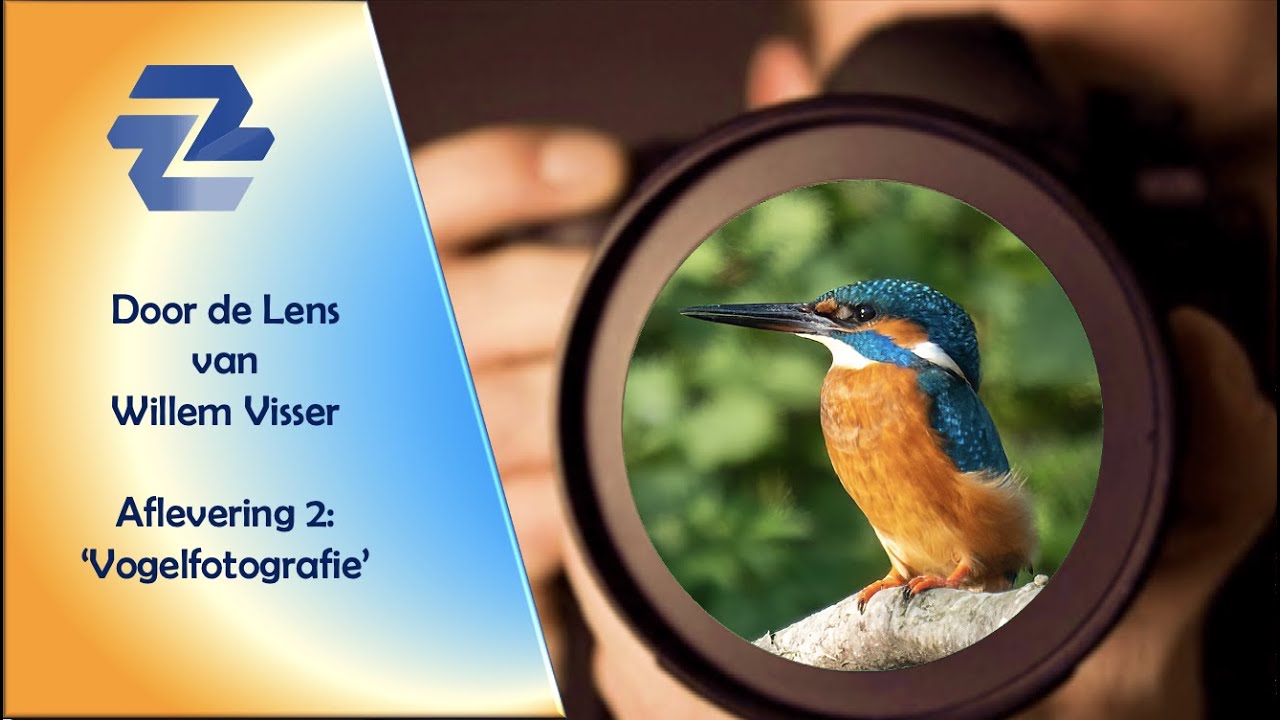 Leer (beter) fotograferen: Vogelfotografie