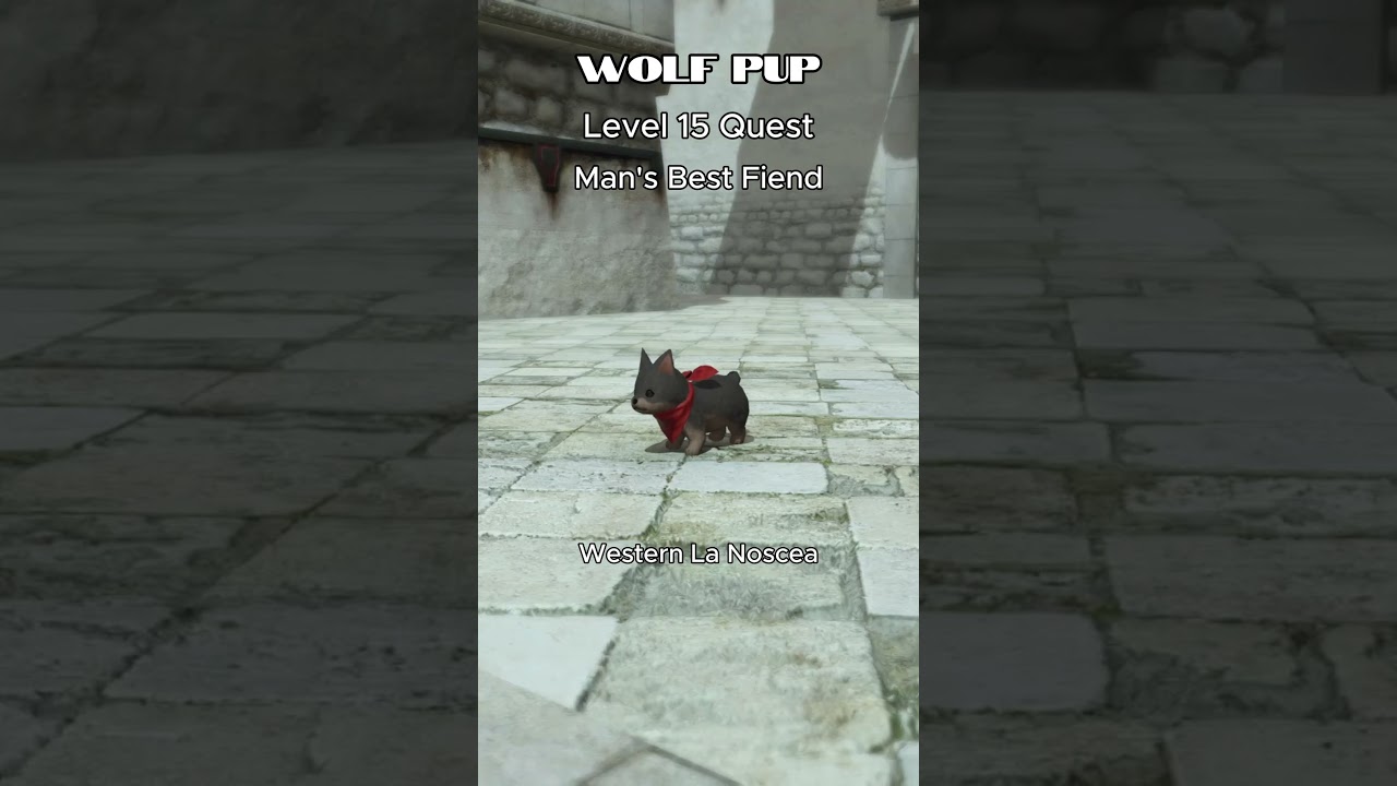New to FFXIV? Get these minions at Level 15!