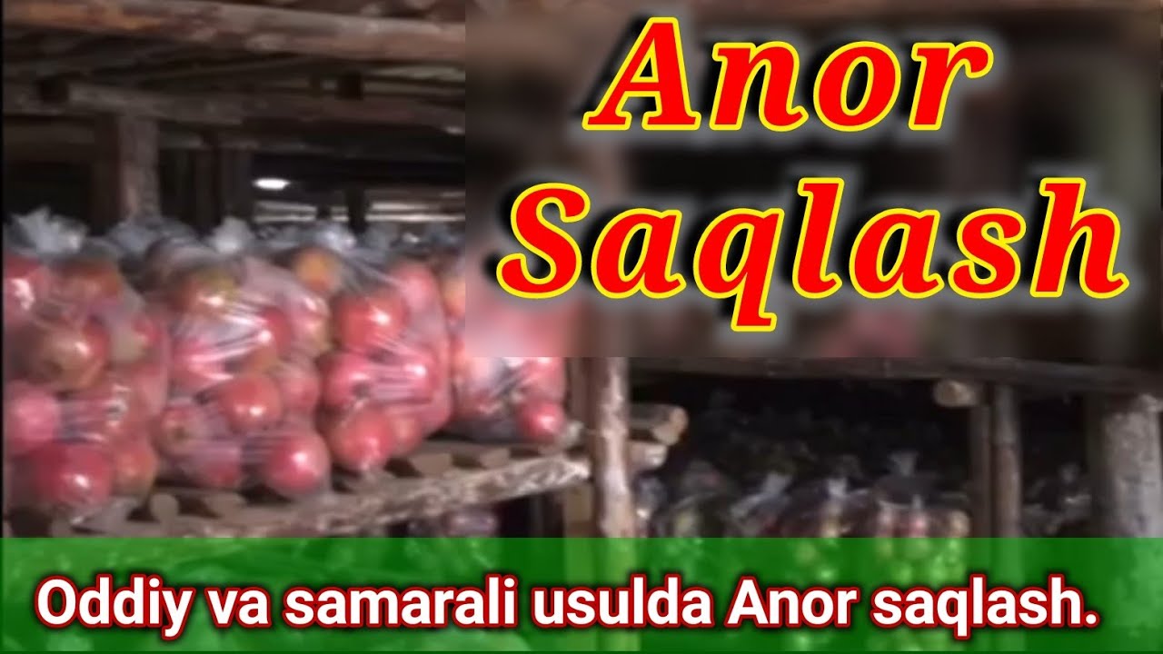 Anor hosilini sifatli saqlash. Dehqon maslahatlari.