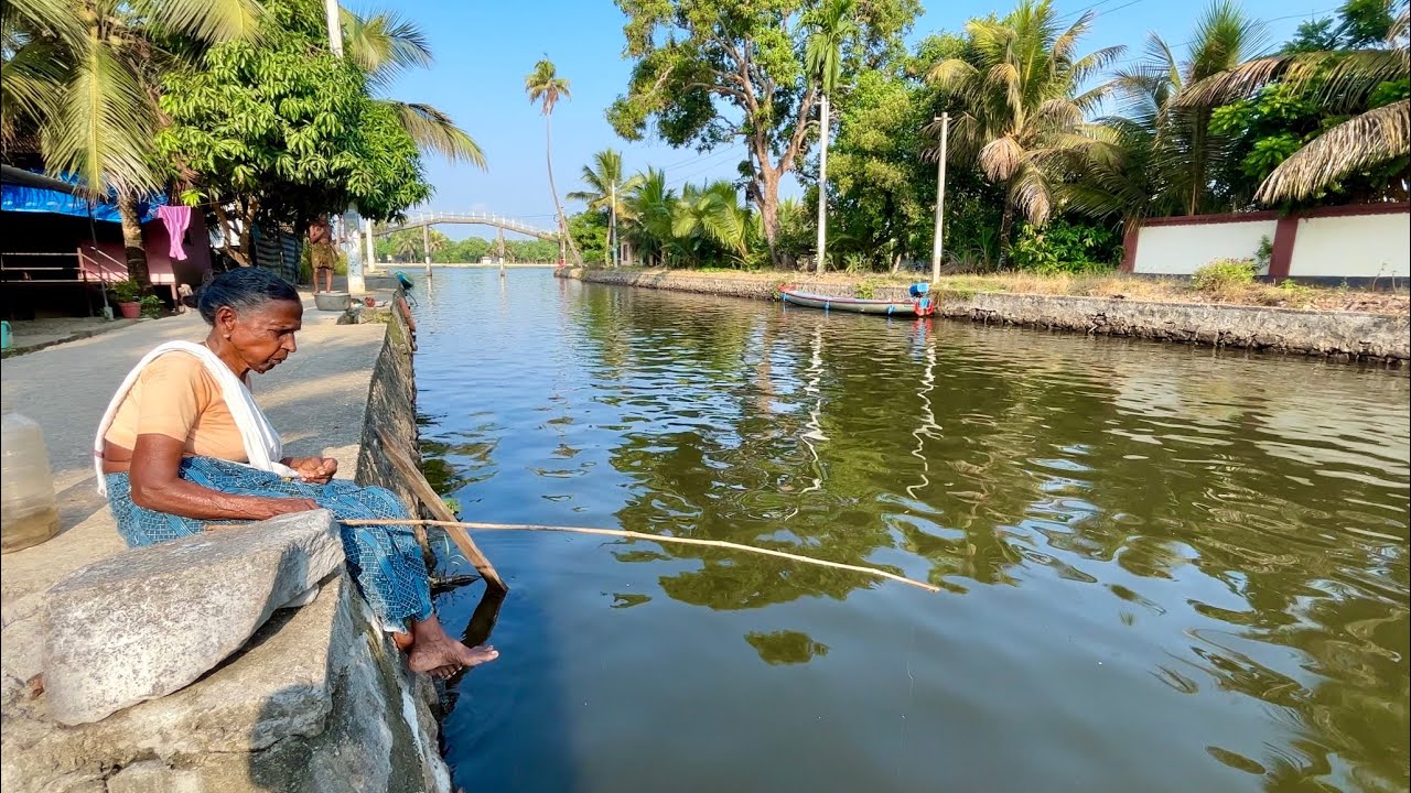 അമ്മച്ചി ചൂണ്ട ഇട്ടാൽ മീൻ ഉറപ്പാ 🔥 Kuttanadu Village Fishing I Village Vlogs #fishing #fishingvideo