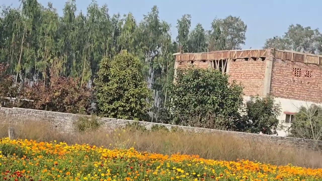 9.5  acre land near higiway with tubewell connection for sale city hoshiarpur 9316167007,8284905110