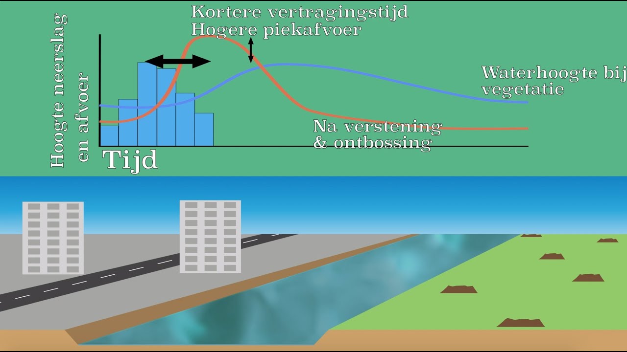 Het overstromen van rivieren: Piekafvoer en vertragingstijd