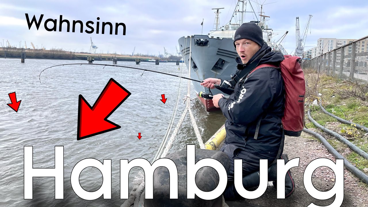 Angeln in Hamburg auf Zander