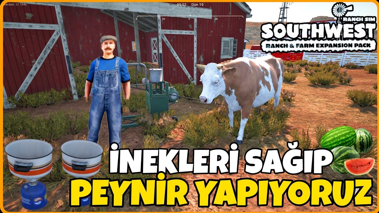 5 TANE MANDIRA İNEĞİ ALDIK ● İNEKLERİ SAĞIP PEYNİR YAPIYORUZ ● EŞYALAR İÇİN DEPO YAPTIK ● Ranchsim