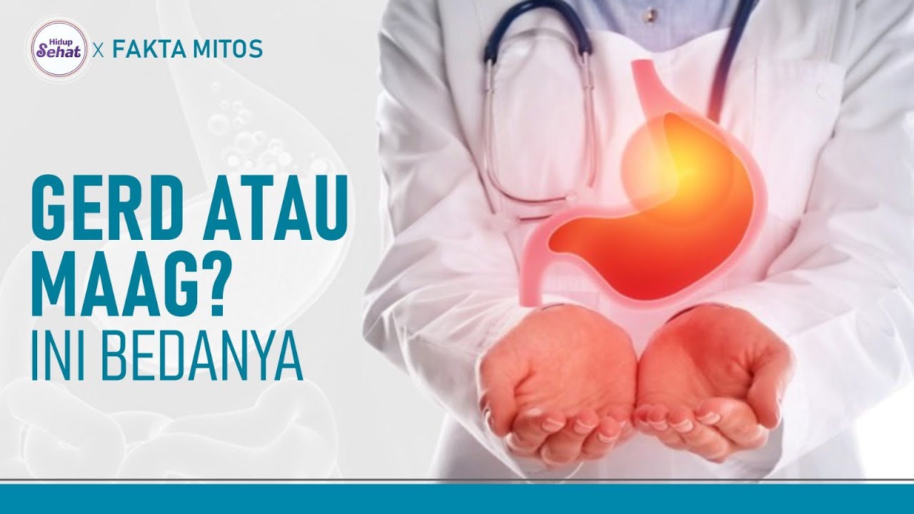 Perbedaan GERD dengan Maag: Gejala Hingga Penyebabnya | Hidup Sehat tvOne