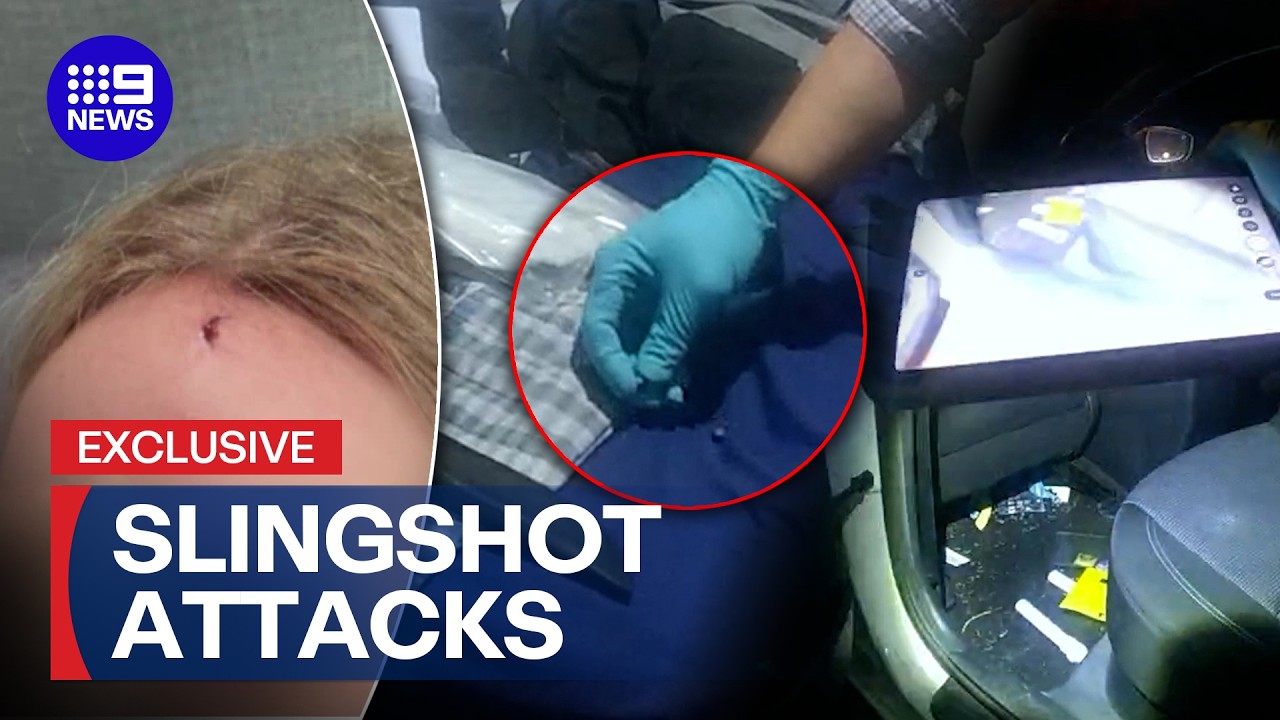 Alleged slingshot attack leaves Brisbane woman seriously injured | 9 News Australia