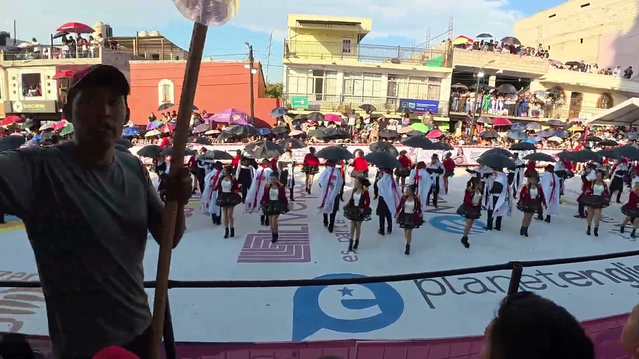 CAMADA MONUMENTAL NETZA 2026