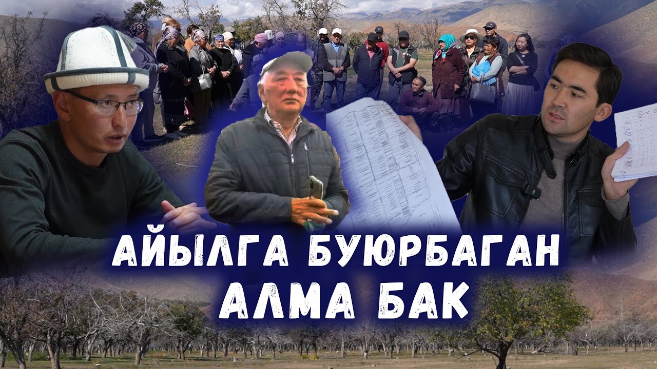 Айылга буюрбаган АЛМА БАК /// Бостери: ЖЕР ЧЫРЫ /// Сокол Медиа /// Темирлан Сейитбек уулу