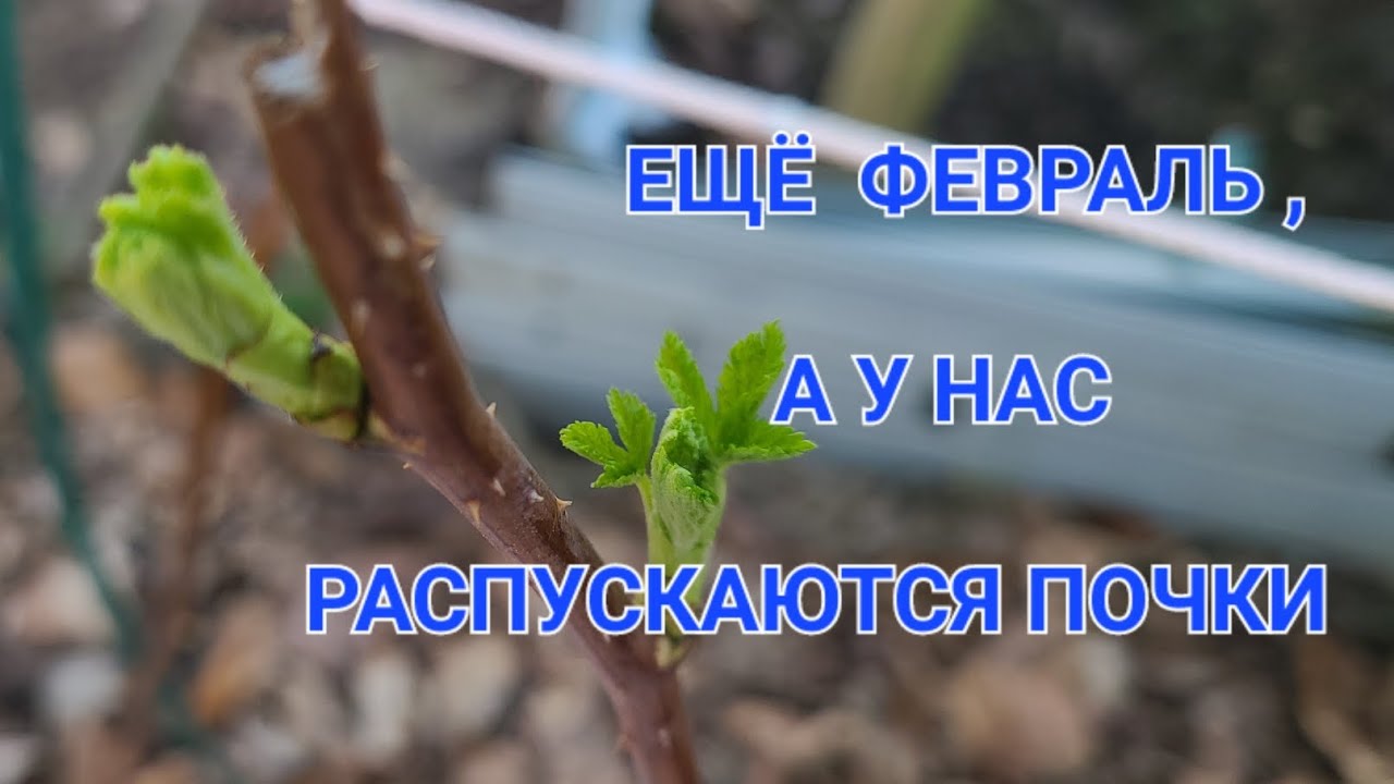 Февральская обманчивая жара 😍 