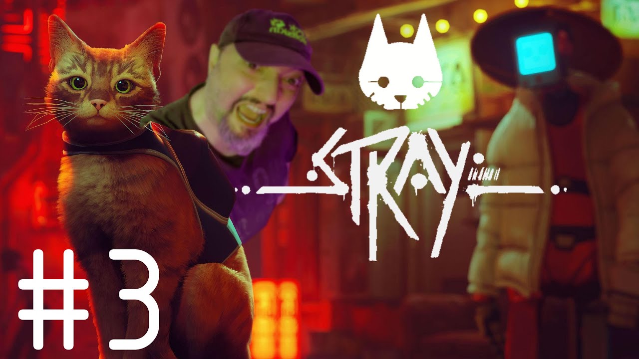 STRAY #3