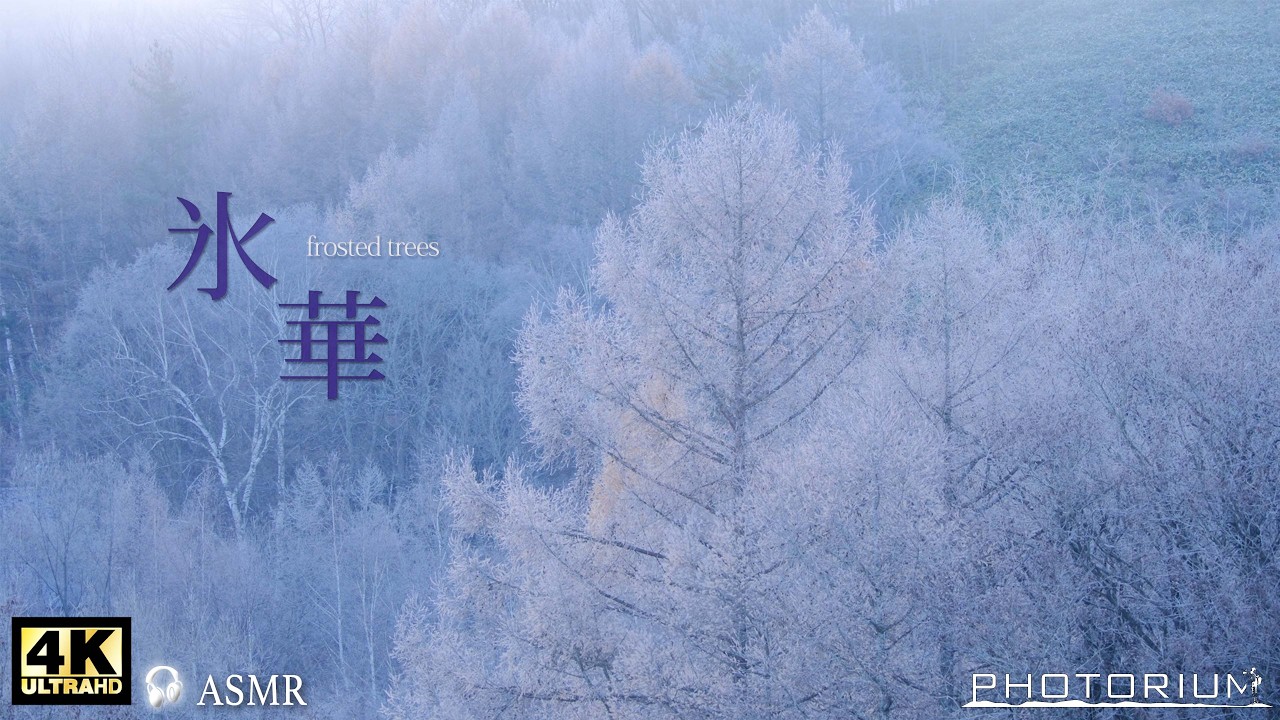 PHOTRIUM♯090【冬の絶景】霧氷の森  〜盛岡・岩洞湖〜