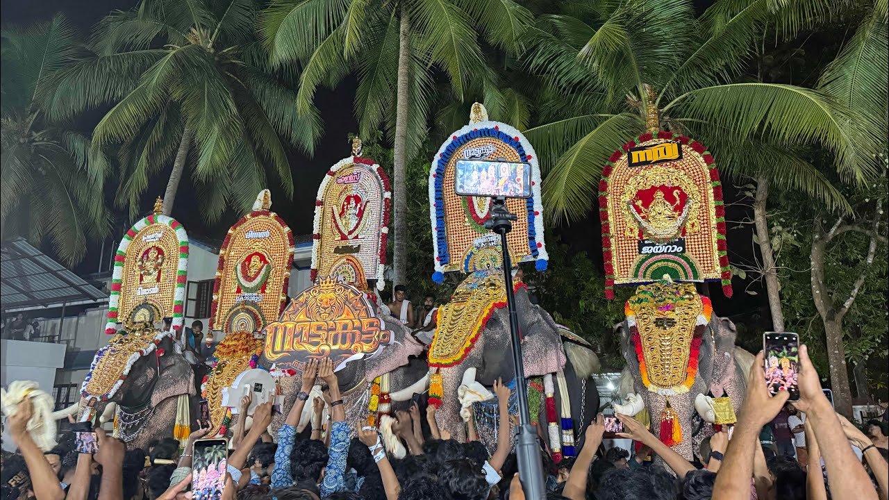 Mammiyur Sree Narayanamkulangara bagavathi temple Pooram 2026 full video