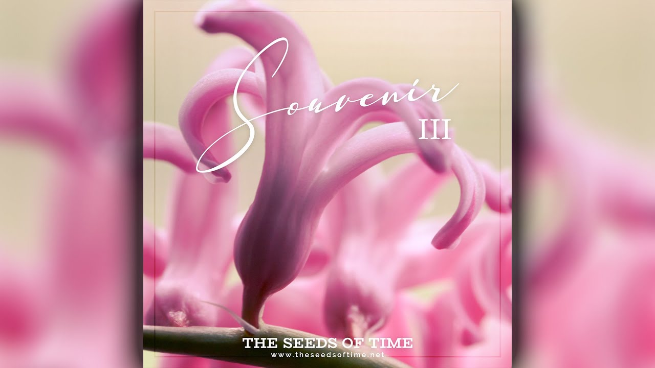 The Seeds of Time - Souvenir III