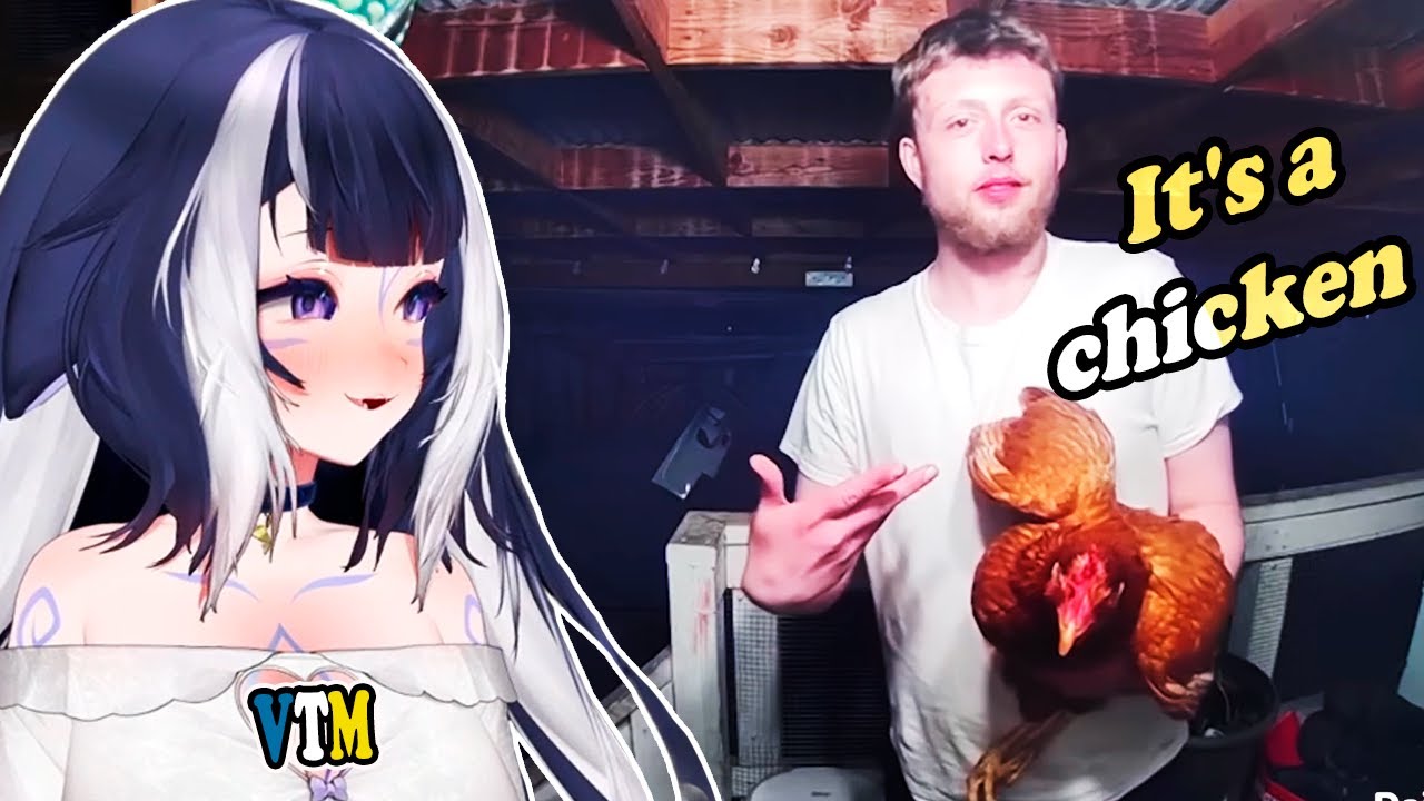 Shylily Reacts To UNUSUAL MEMES COMPILATION  | Try Not To Laugh 🦐