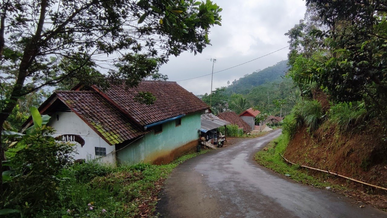 Senyaman ini kabut tipis dan gerimis turun di kampung tertinggi semakin damai dan tenang bikin betah