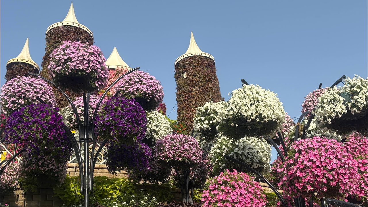 Miracle Garden Dubai 2026 January 🌸парк цветов город Дубай 2026
