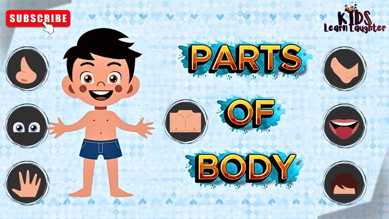 Learn Parts of Body for Kids 🧠👀 | Body Parts Song & Rhyme | Kids Learning