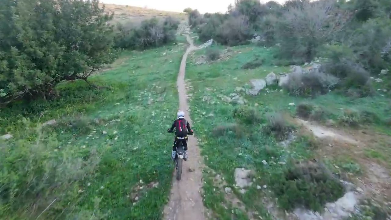 6 במרץ 2026