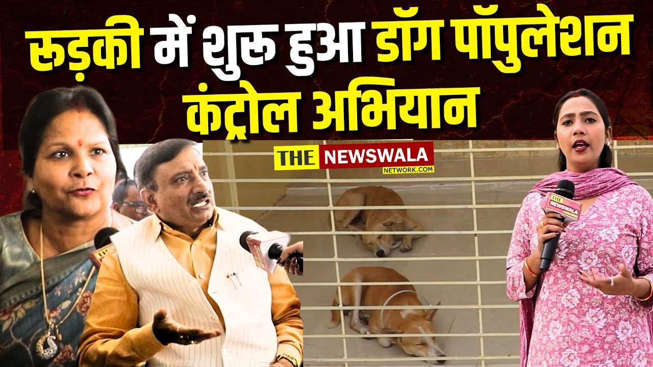 Dog Population Control in Roorkee | ABC Program for Stray Dogs