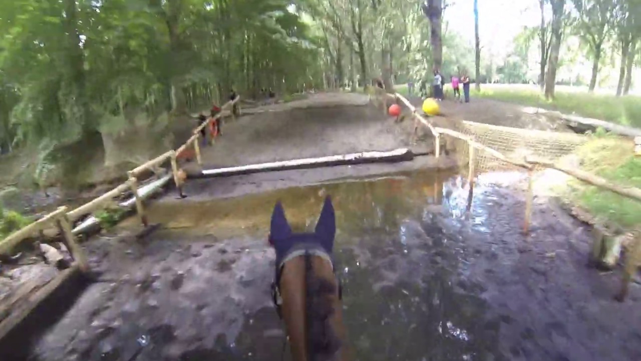 SGW Dijkgatbos 2019 klasse L paarden