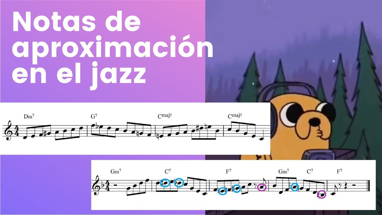 Notas de aproximación