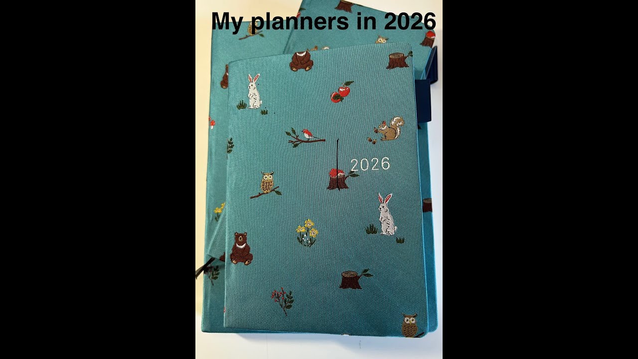 Perhaps I have lost my marbles? My 2026 planner system