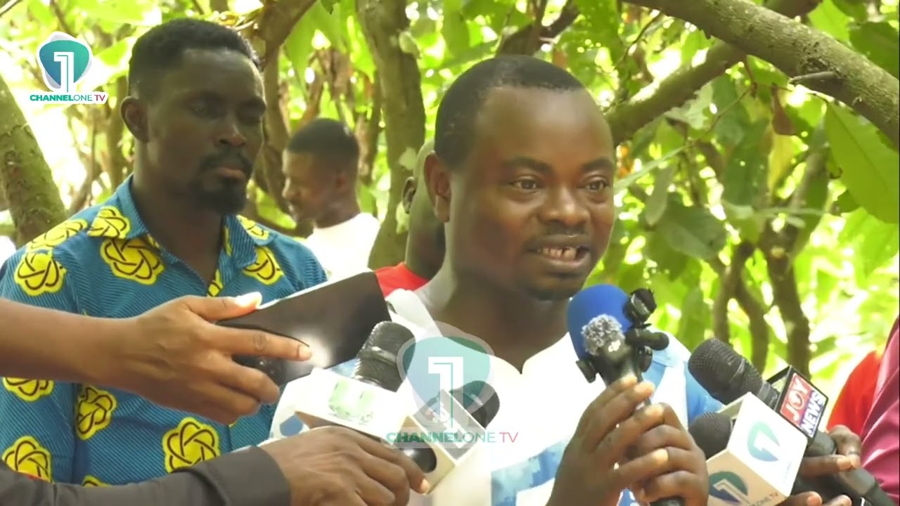 Pankese Farmers Plead with Govt Over Cocoa Price Reduction