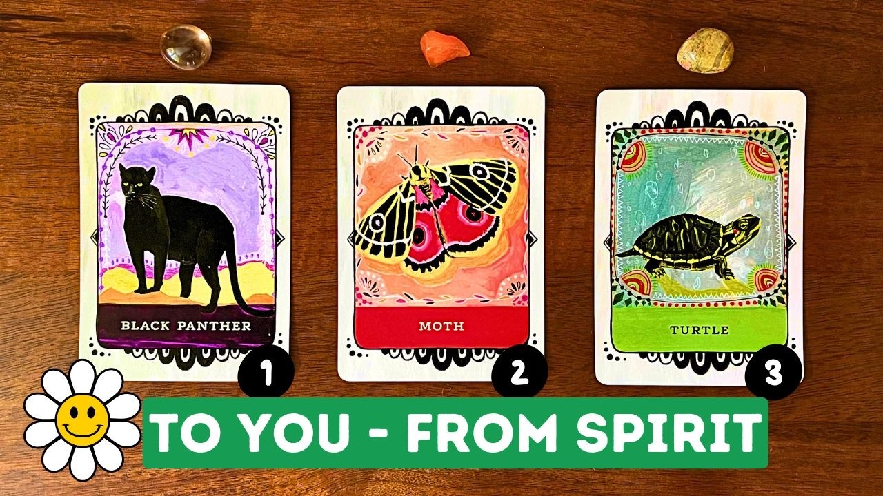 Spirits Advice On Your Current Situation! ⭐️⏐PICK A CARD