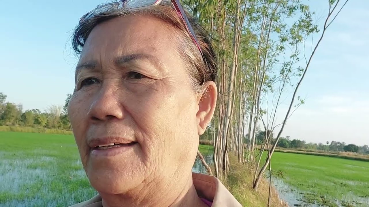 ย่าหน่อยทำเกษตรพาชมทุ่ง