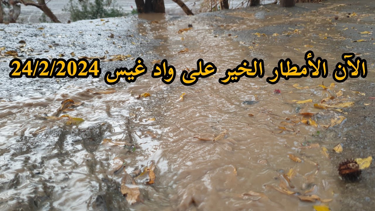 الآن الأمطار الخير على واد غيس الحمدلله 24/2/2024 نواحي الحسيمة