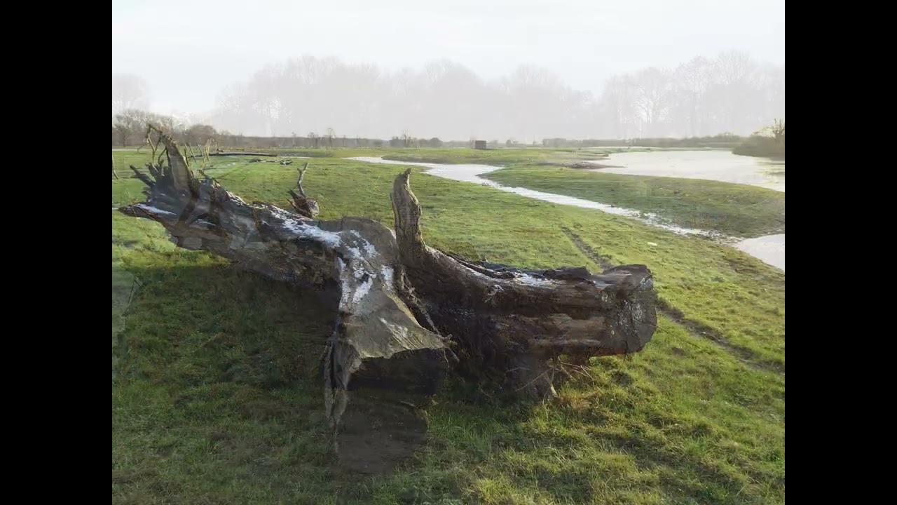 Nach dem Hochwasser - auf Spurensuche an der Ems