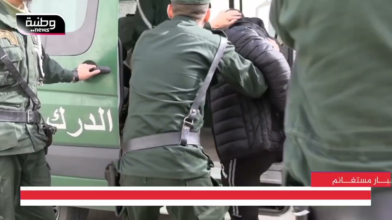 🔴مستغانم | الدرك الوطني يفكك شبكة سرقة المواشي ببلدية عين النويصي.