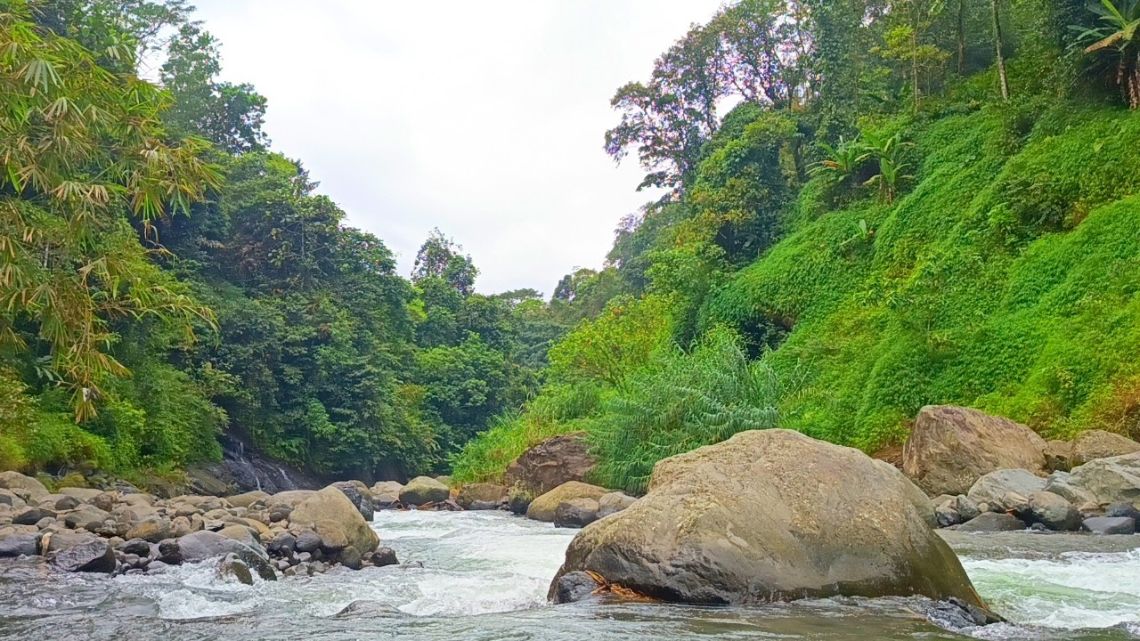 Gentle Mountain River Flow for Meditation and Sleep