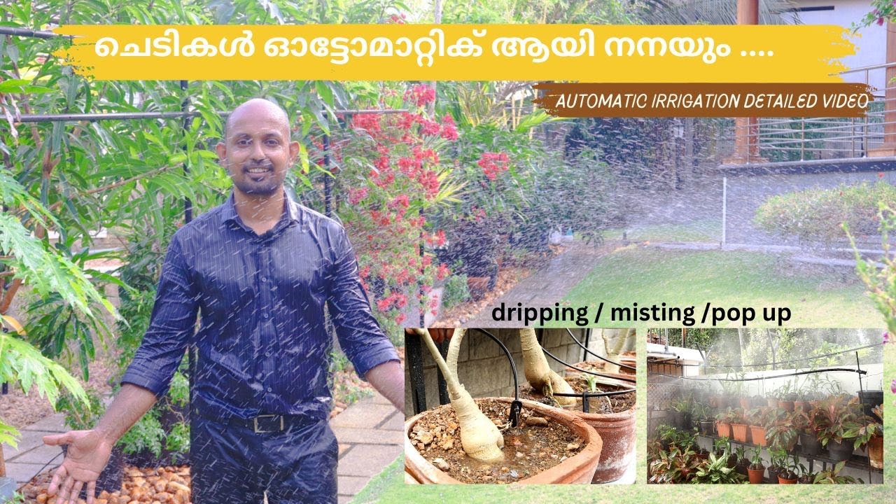 Automatic irrigation in home ! വീട്ടിൽ ഫുൾ ഓട്ടോമാറ്റിക് ഇറിഗേഷൻ ! #Dripping #misting #popup gun