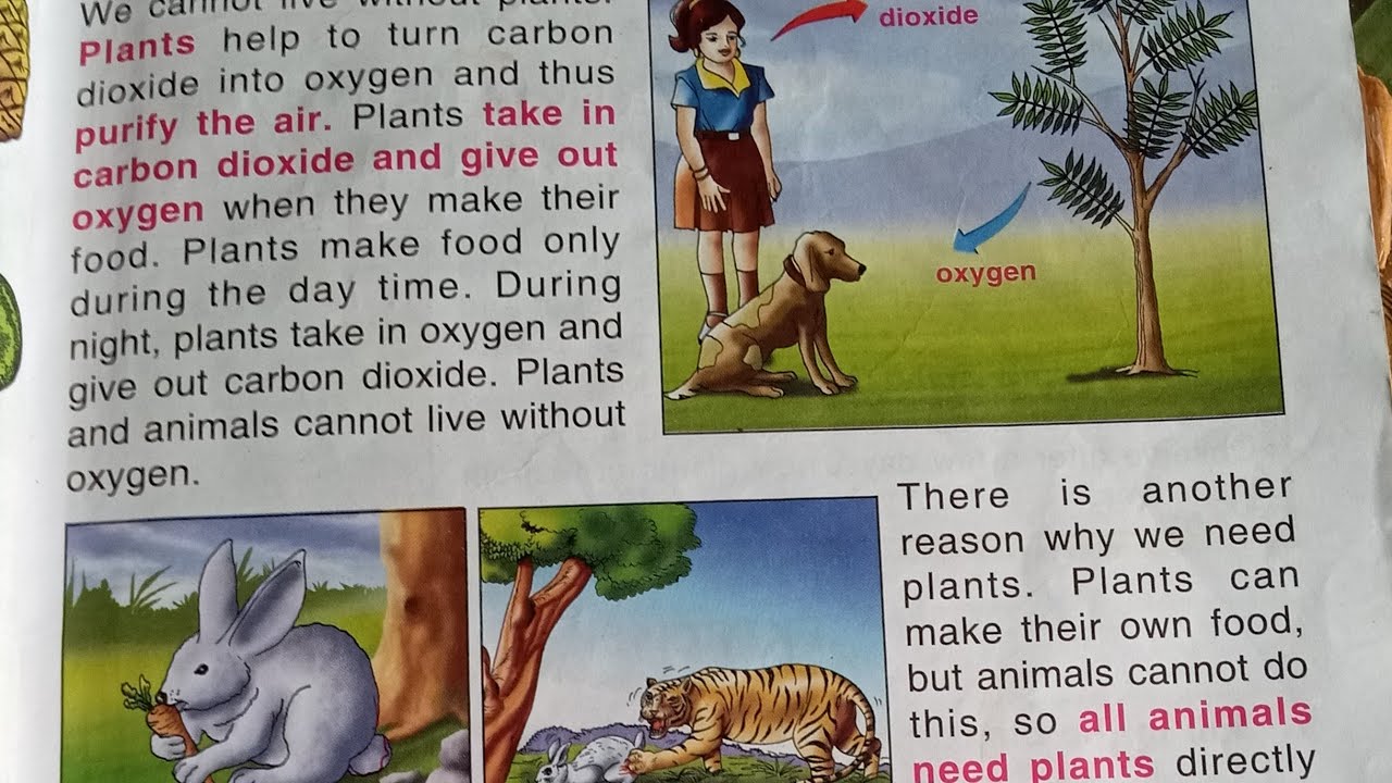 Basic science for class 3 students/ Rainbow syllabus class 3 basic science chapter 1