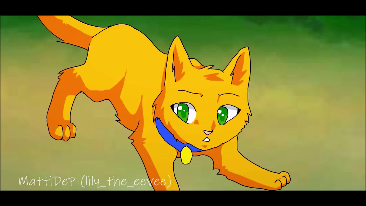 Firepaw Vs  Longtail | Warrior Cats AMV | Courtesy Call | SSS Warrior Cats