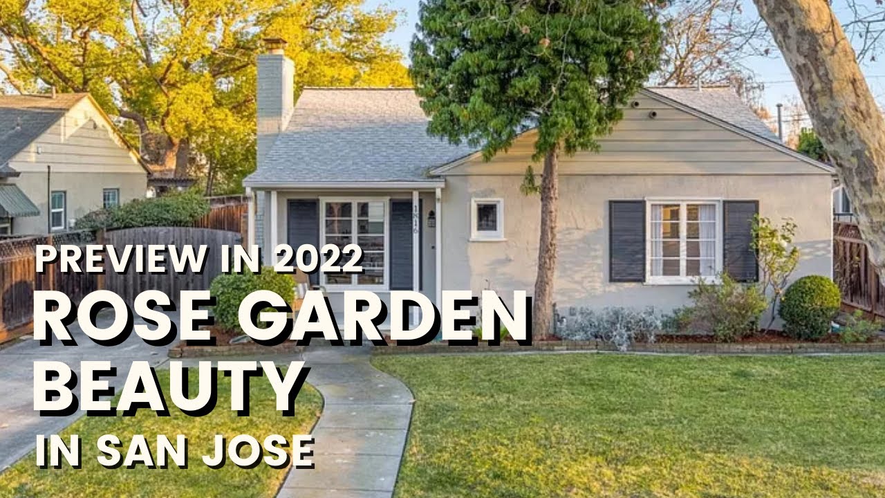 Rose Garden Beauty in San Jose