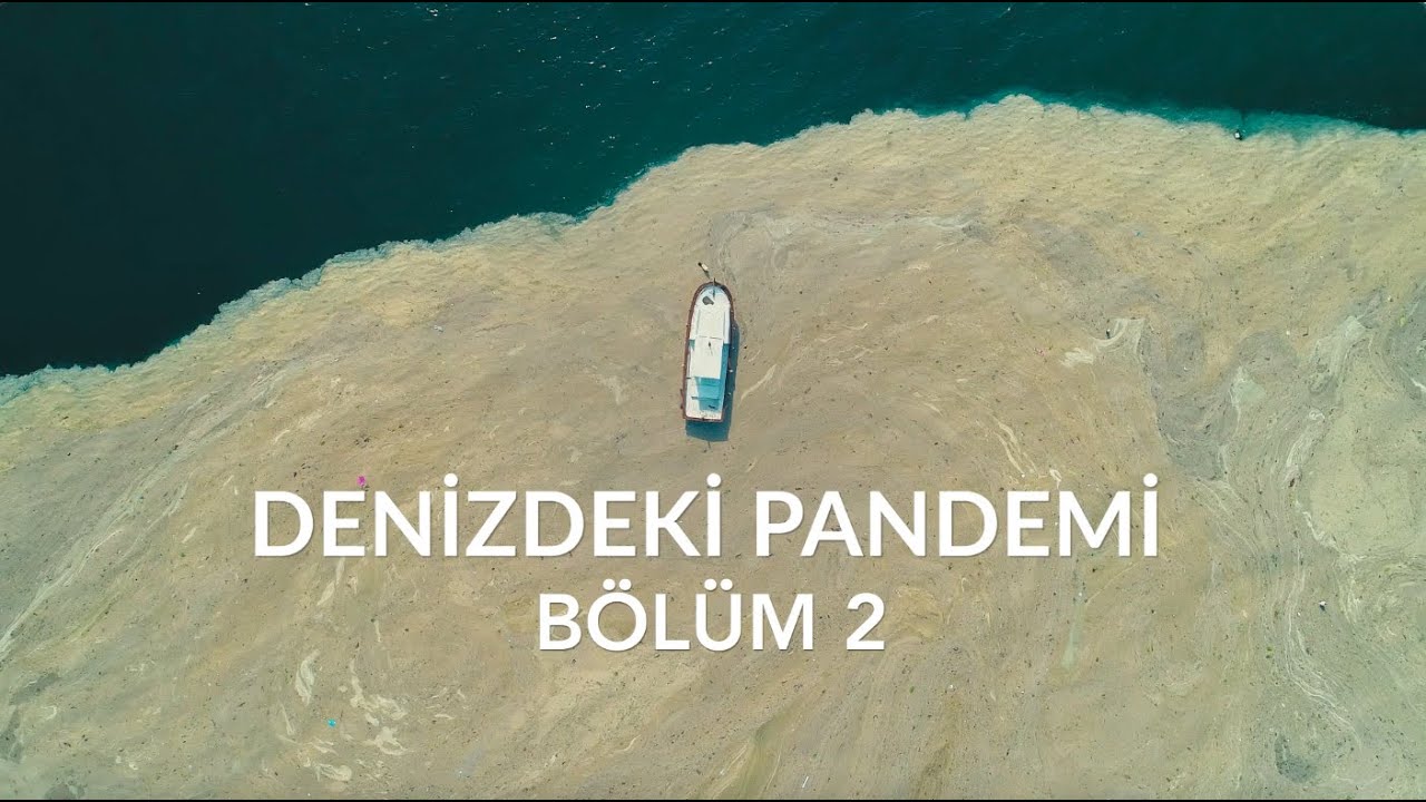 Marmara Denizi'nde yaşanan müsilaj sorununu yakından izle! 