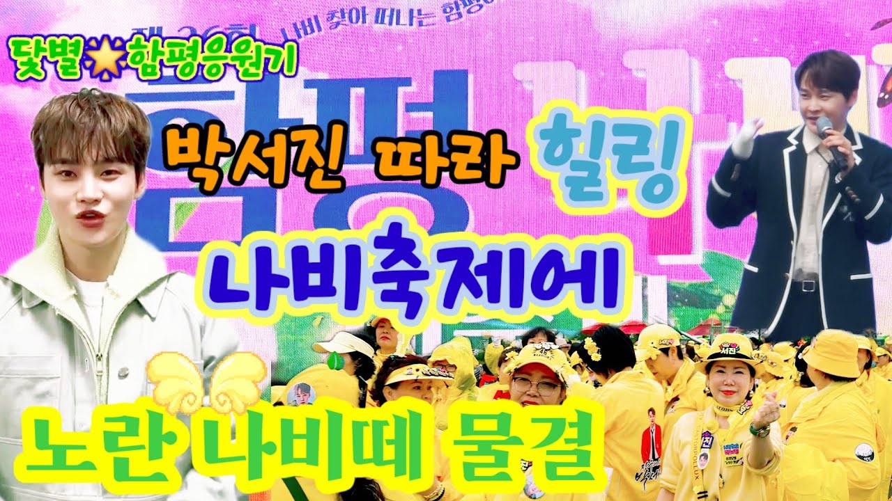 박서진💛닻별🌟함평응원기💕박서진따라 힐링😁나비축제에 노란나비떼 물결🦋