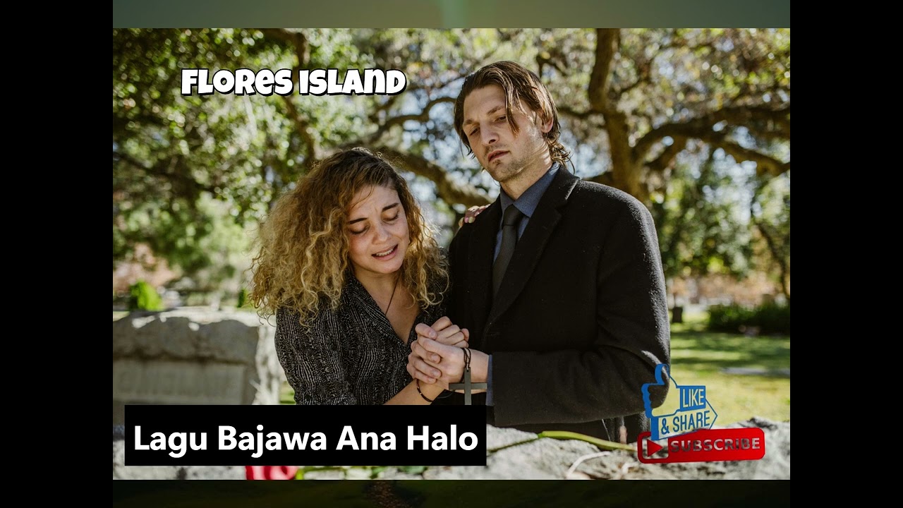 Lagu Bajawa Ana Halo Cover By AI